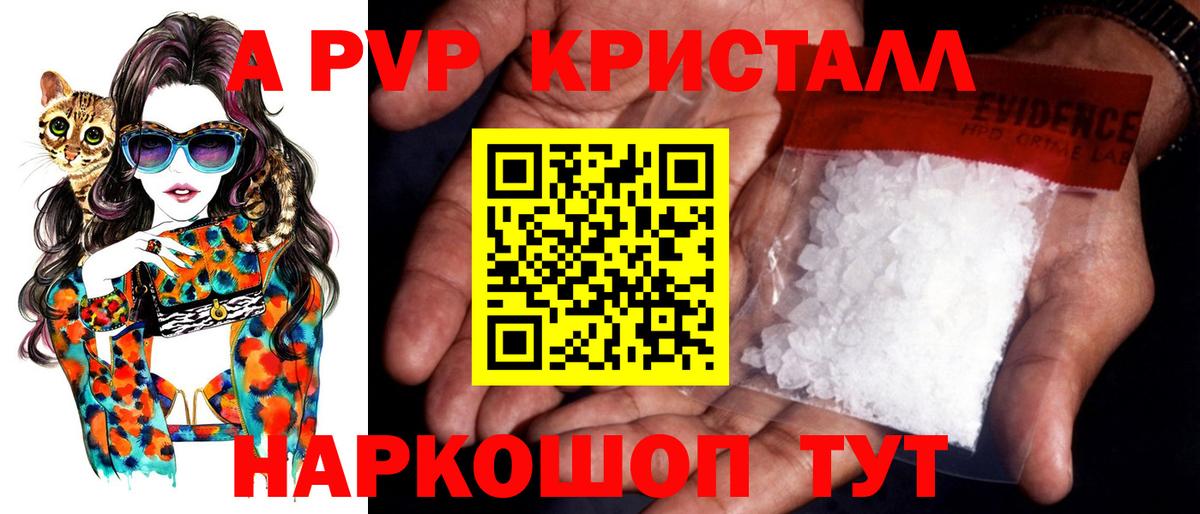 Альфа ПВП СК КРИС Туапсе