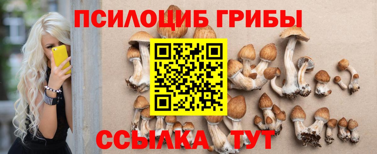 Туапсе  Галлюциногенные грибы GOLDEN TEACHER  Вход с VPN 